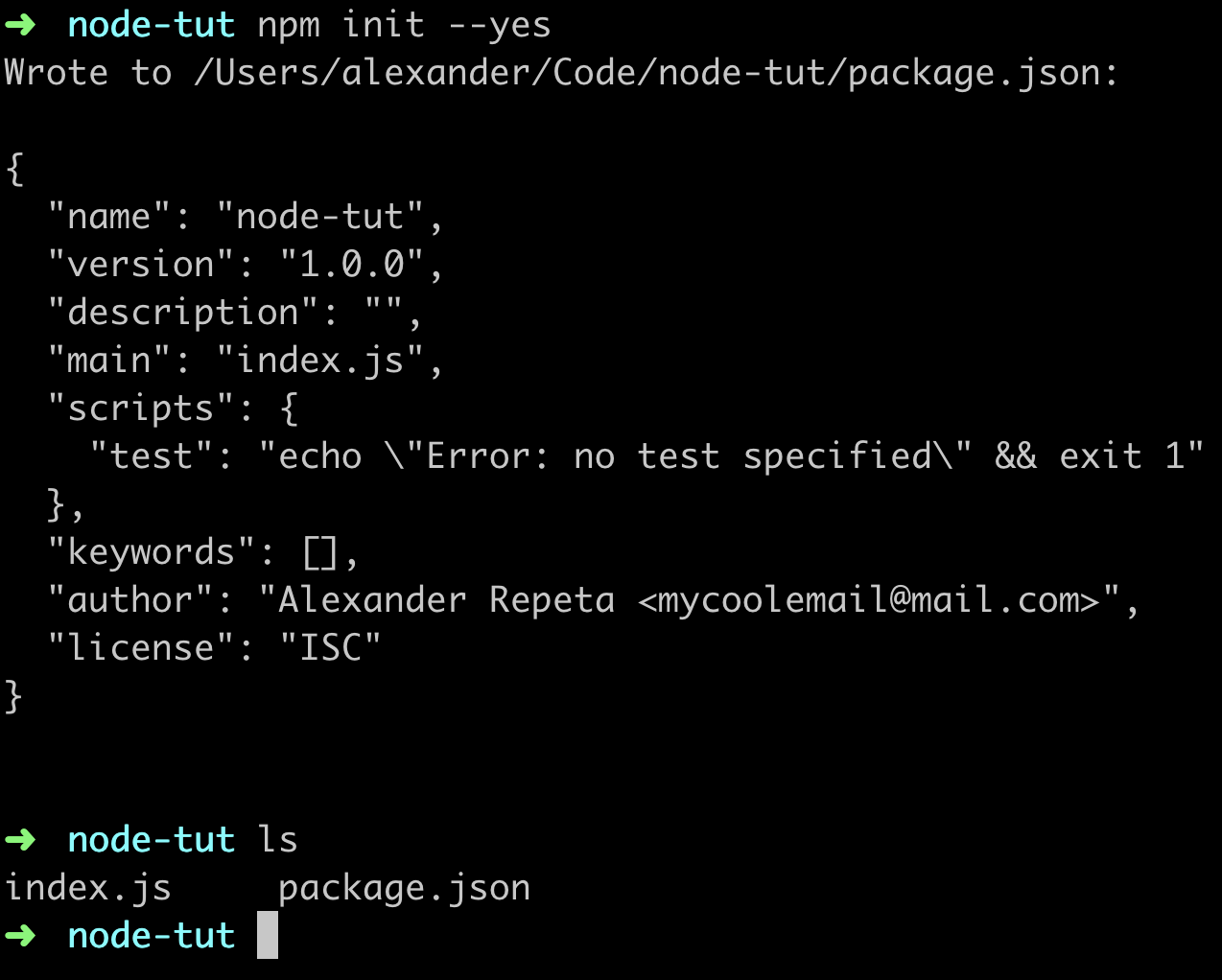 npm init