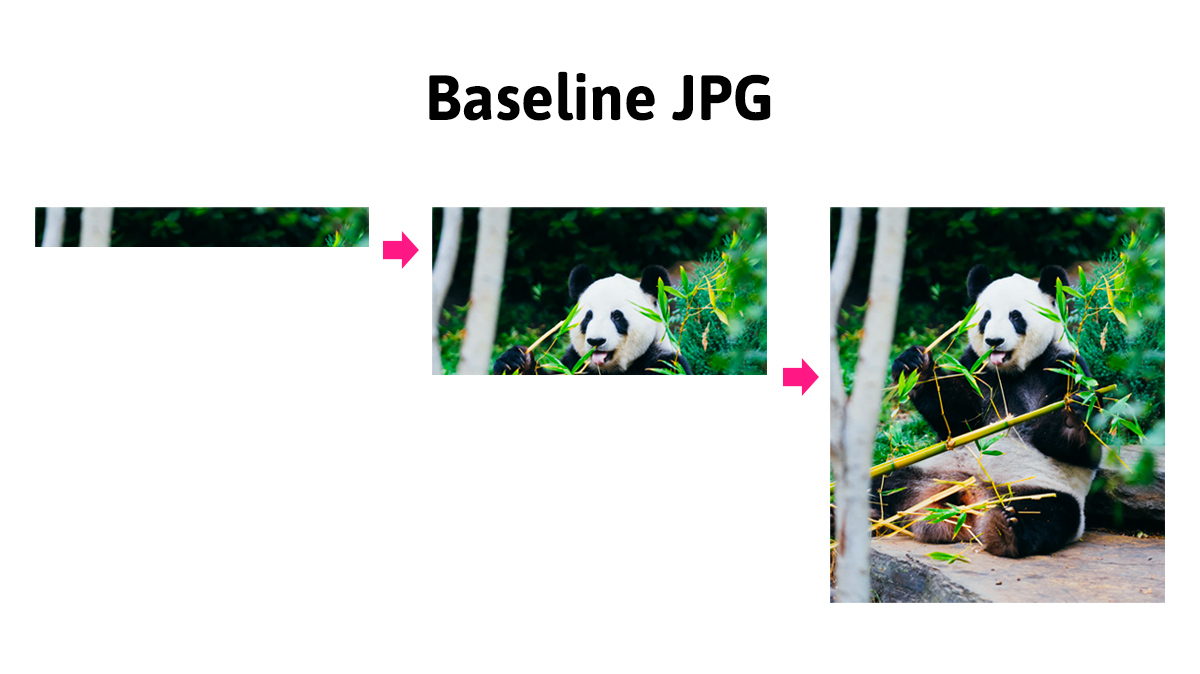 Baseline JPG loading line by line from top to bottom